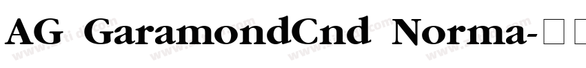 AG GaramondCnd Norma字体转换